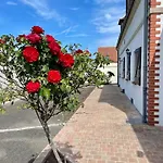 Nature, Evasion, Jacuzzi, Grande Piscine Et Cinema Vakantiehuis